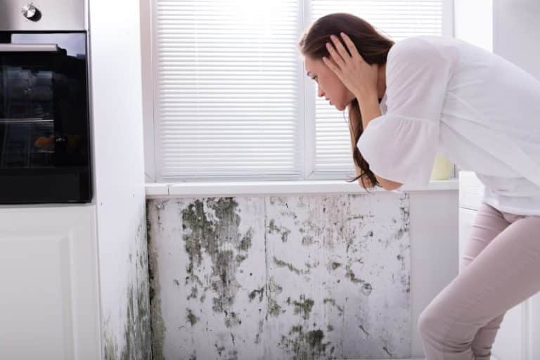 woman looking at mold on wall